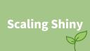 Damian Rodziewicz | Scaling Shiny to Thousands of Users | RStudio